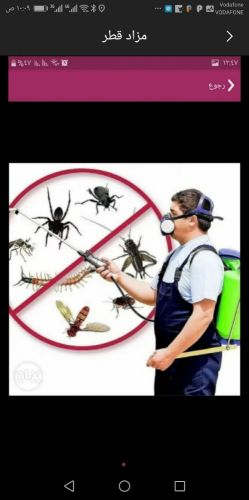 مبيدات حشريه للقضاء على الحشرات