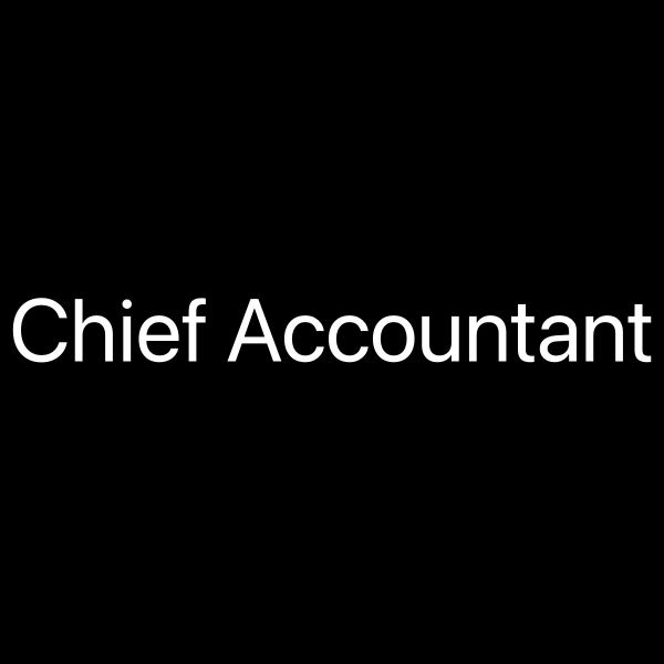 Chief Accountant