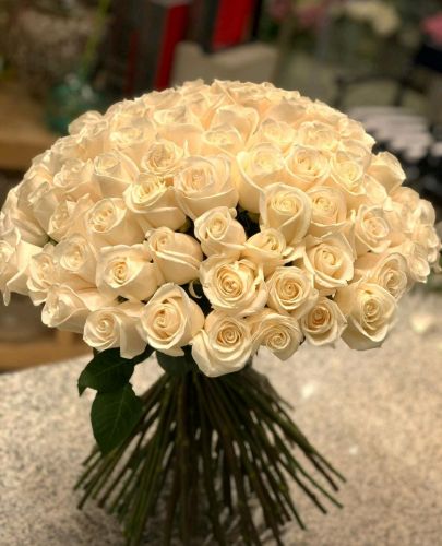 White Roses 100pcs 599 only